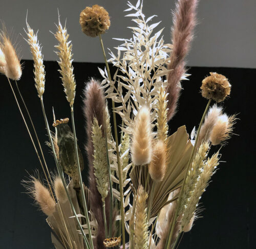 Trockenblumen Mix in Creme für die Vase zuhause.